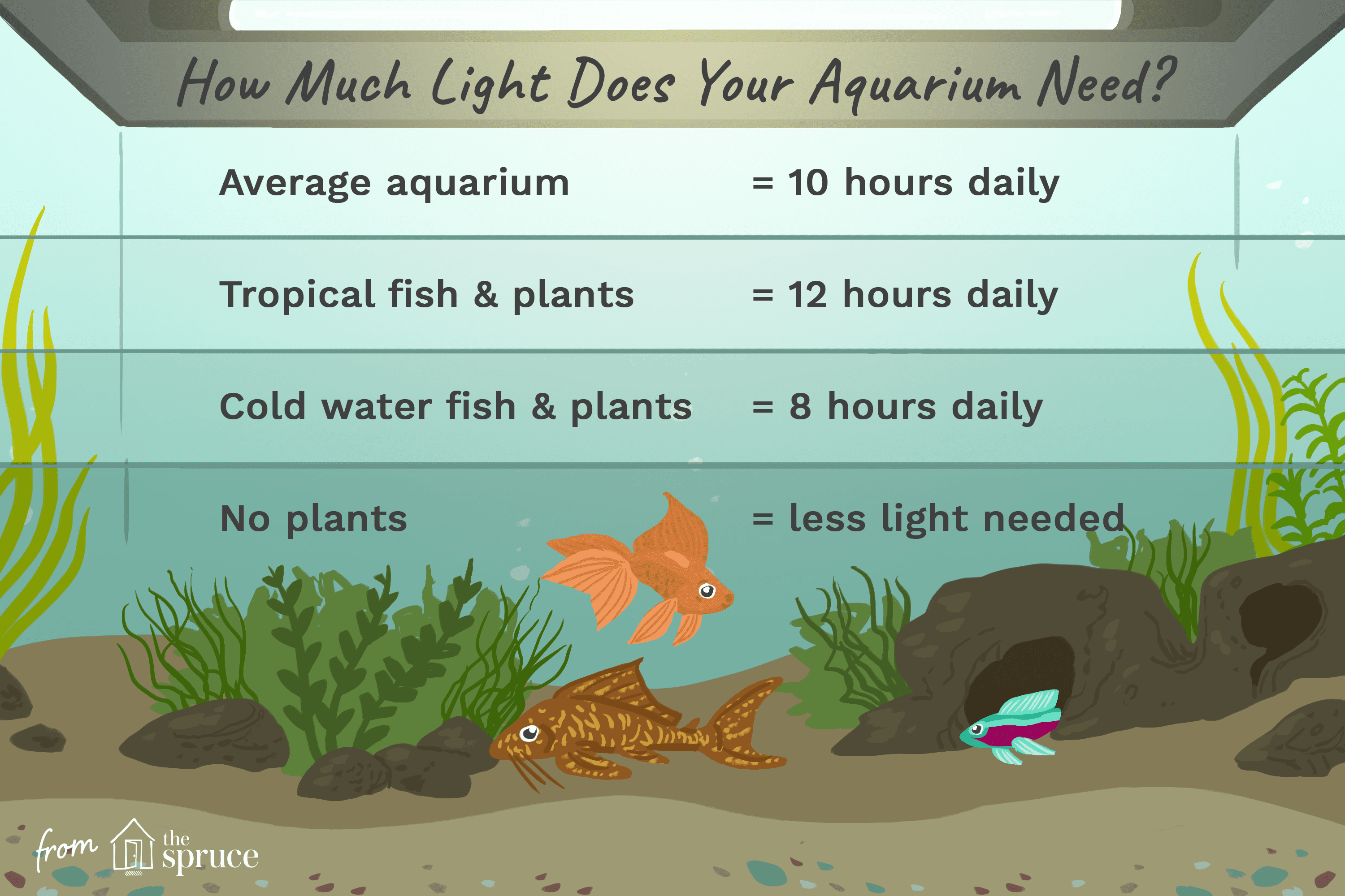 illustration of how much light an aquarium needs chart