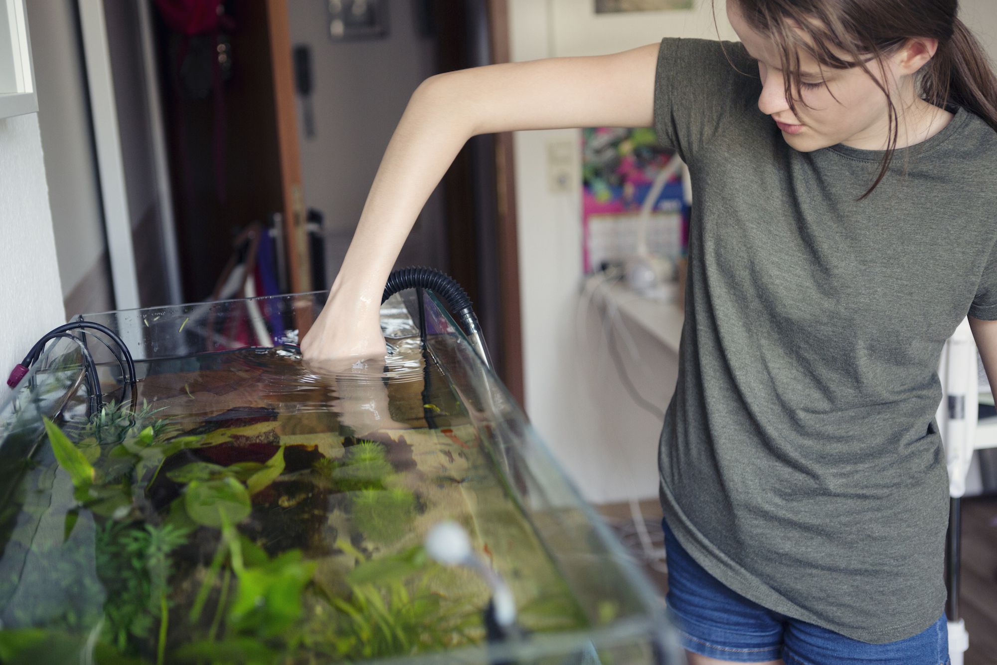 Femme regardant un aquarium