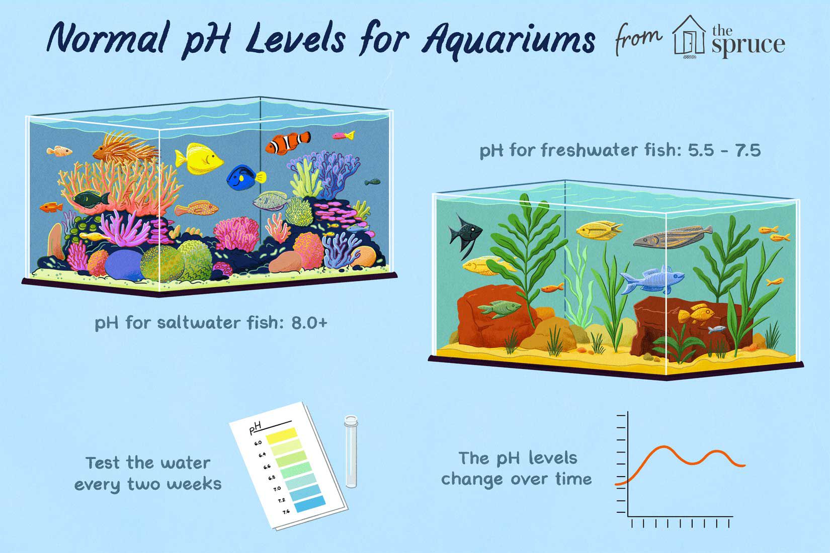 Illustration des niveaux de pH normaux pour les aquariums