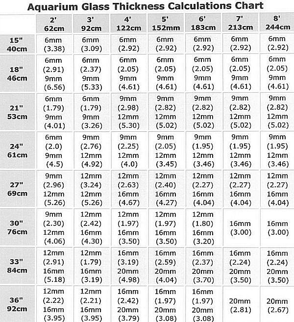 Épaisseur du verre des aquariums marins