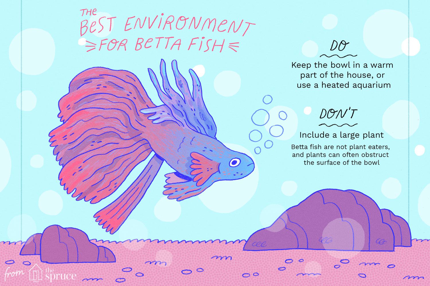 Meilleur environnement pour un poisson Betta