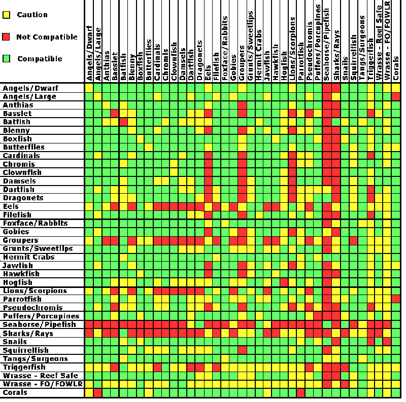 Tableau de compatibilité des poissons d'aquarium marin