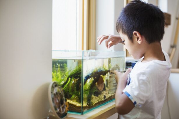 Combien de temps les poissons peuvent-ils se passer de nourriture ? Nos 7 meilleurs conseils pour prendre soin des poissons pendant les vacances.