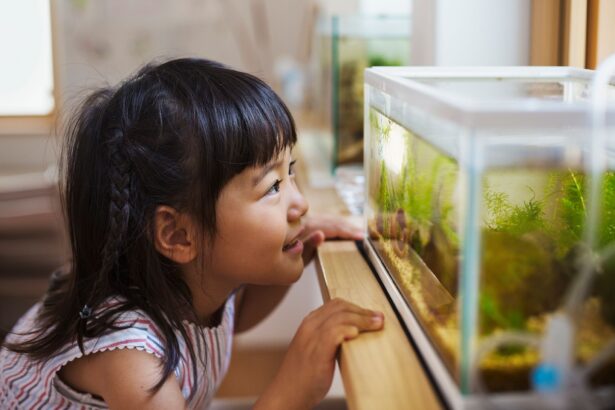 Comment ajouter de l’eau dans un aquarium