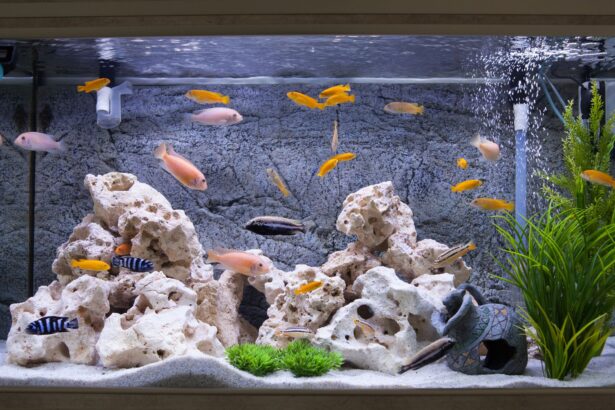 Types de Couvercles pour Aquariums