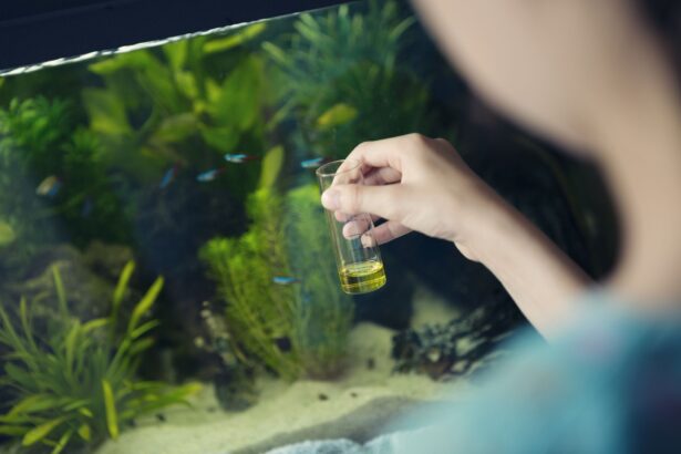 Paramètres de l’eau de l’aquarium à contrôler pour des poissons en bonne santé